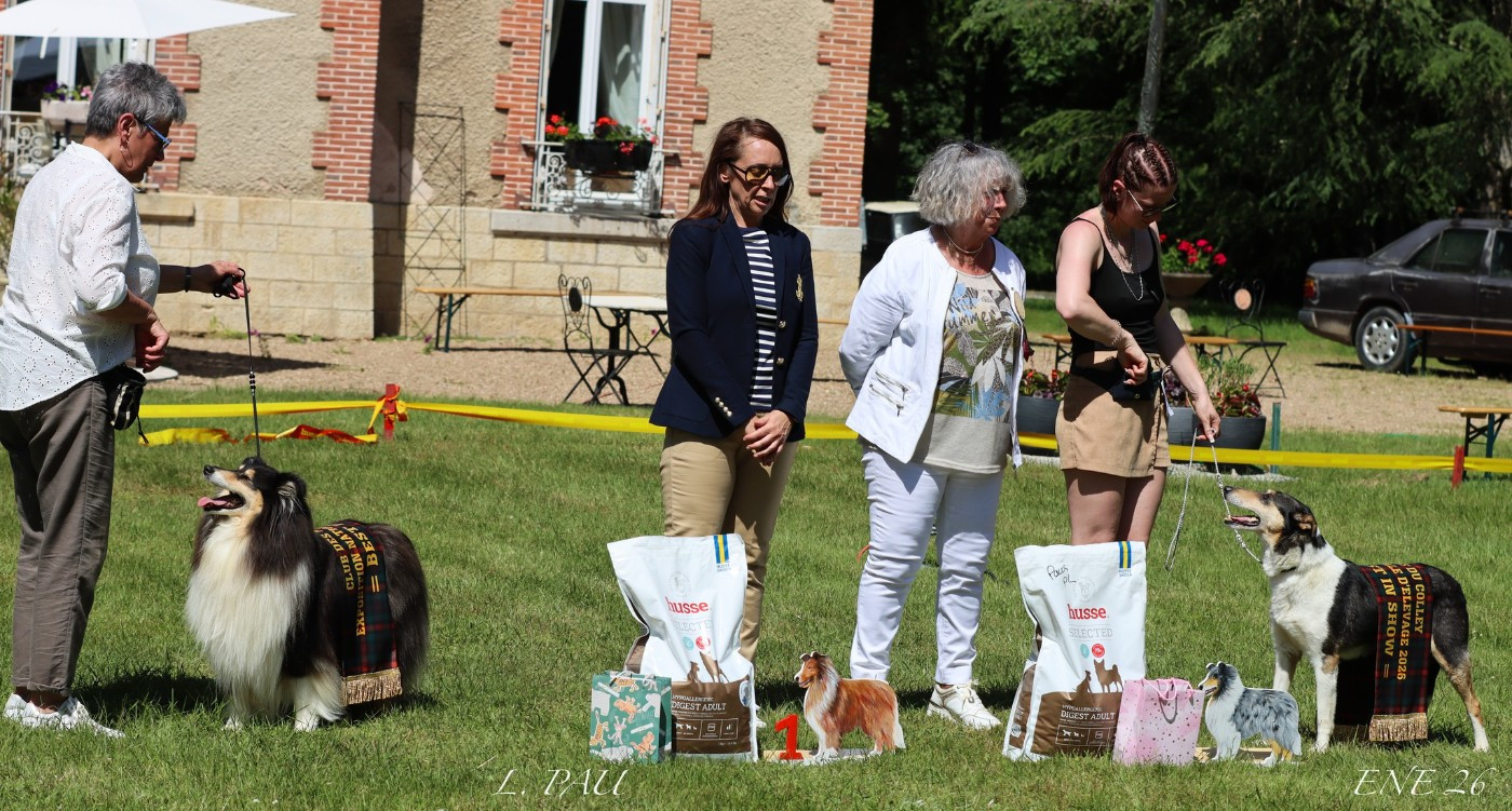 BEST IN SHOW - NATIONALE D'ELEVAGE 2026